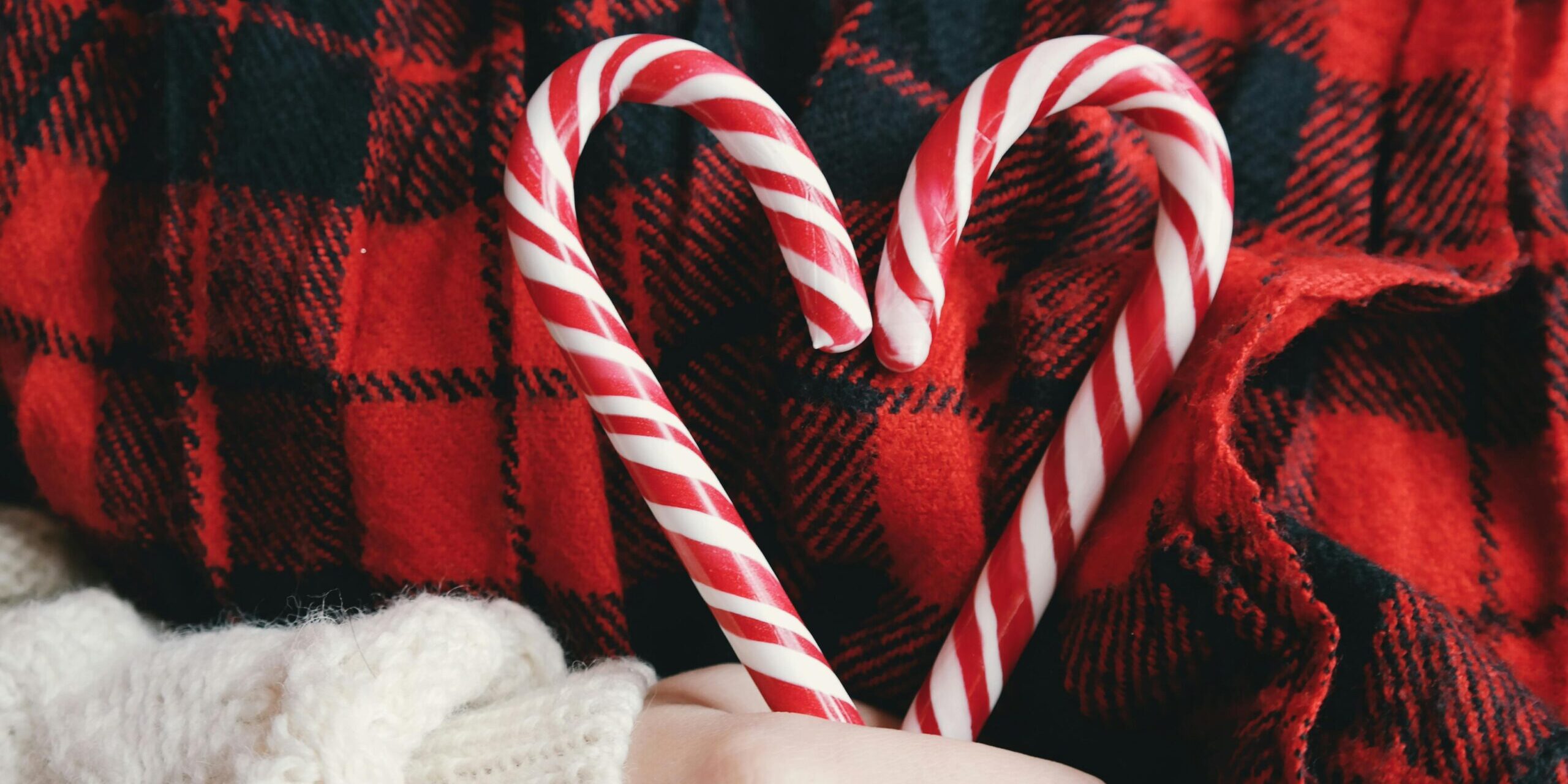 pexels-brigitte-tohm-36757-247076